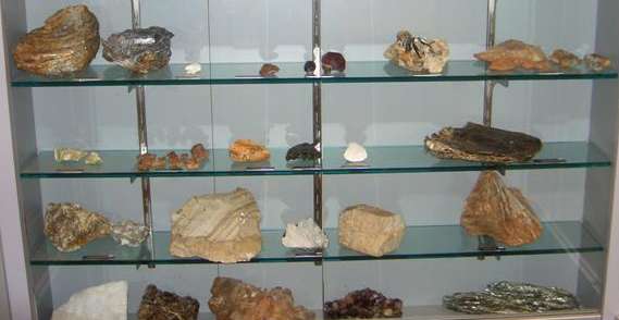 Mineral case
