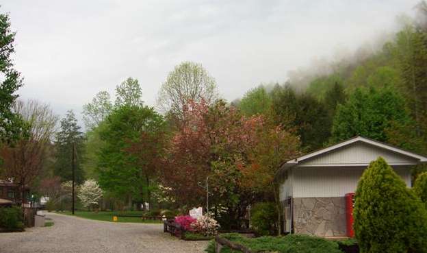 Sometimes rain can be so pretty with the clouds descending the mountain