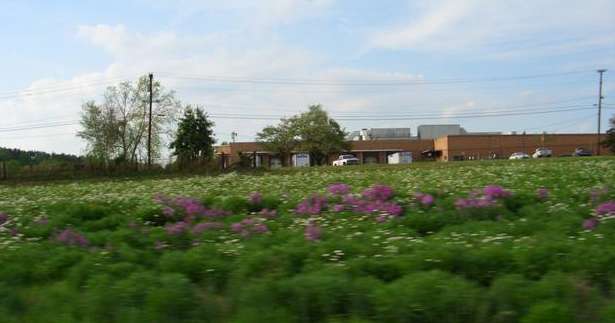 Linda says, you try to take a good pictures out the car window at 70 mph in the rain