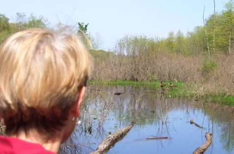 Yes you most certainly can relax in a marsh