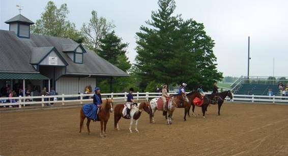 I never knew there were so many different breeds of horses