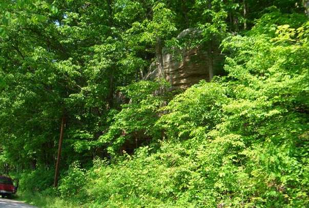 Peeking out above the trees was the top of the rock