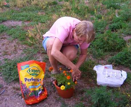 Farm girl at play