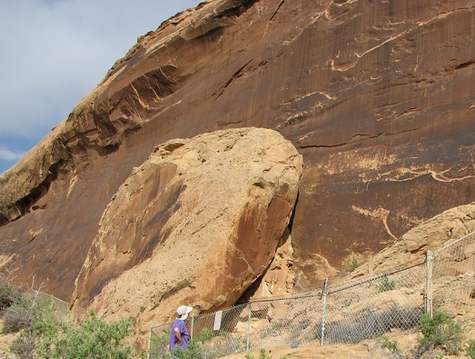 Wall of Petroglyphs 