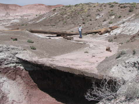 Onyx Bridge