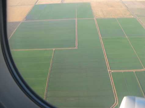 California fields