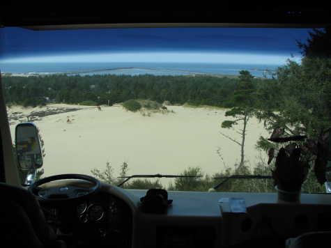 Horses in the dunes