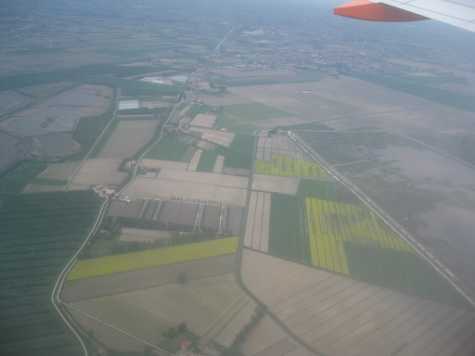 Yellow fields