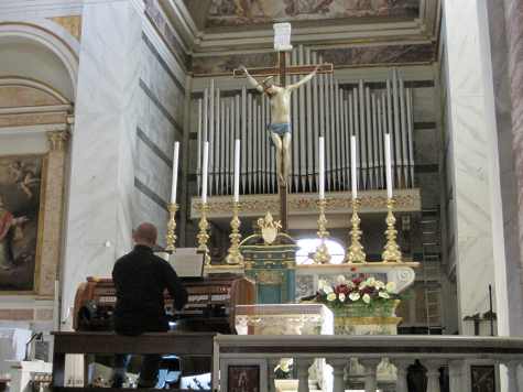 Organ