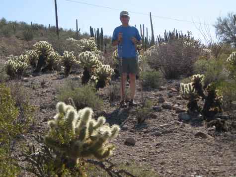 Cholla Bob