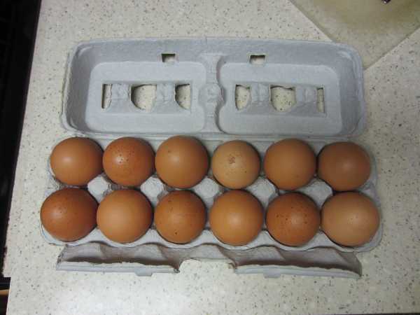 Eggs