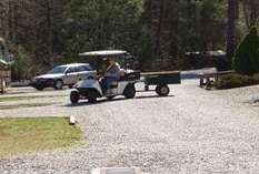 Linda driving the golf cart