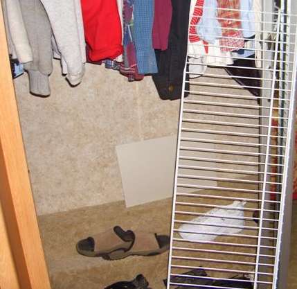 At least it's a closet