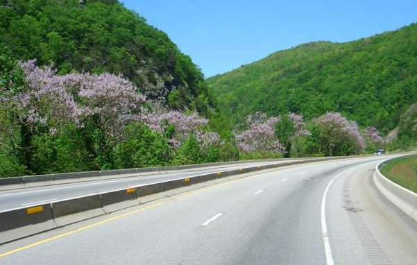 For once there was beauty along the interstate