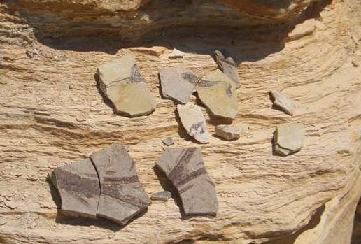 Fish fossil fragments from the quarry area