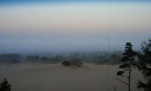 definitely foggy