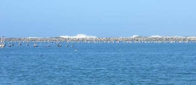 Emmense waves
