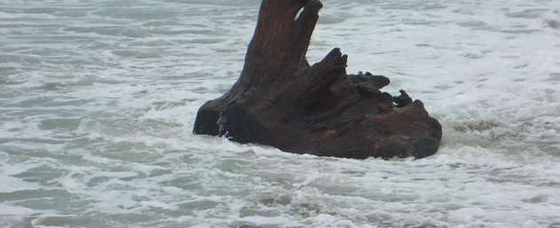 Stump