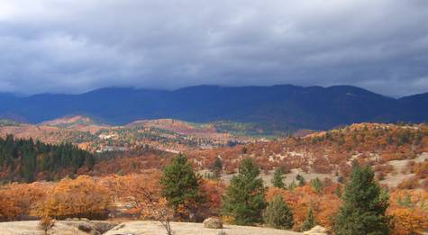 Fall colors