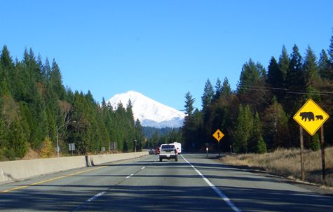 Mt Shasta