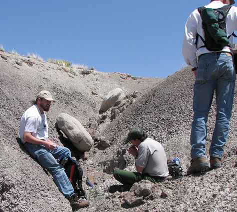 Paleontologist in the field