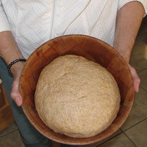 Home made whole wheat bread