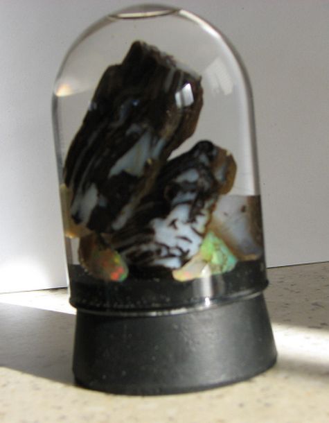 Opalized wood