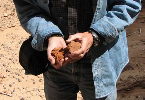 Sandstone crumbles