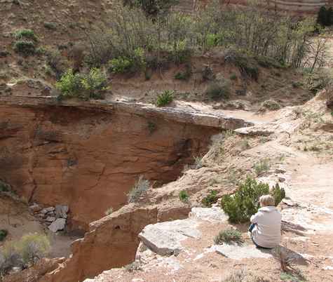 Canyon view