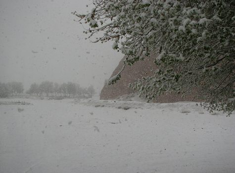 Winter wonderland