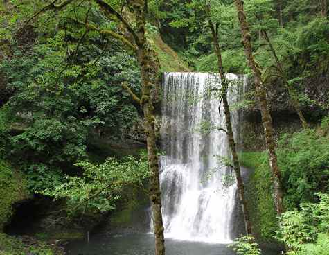 Model behind Lower South Falls