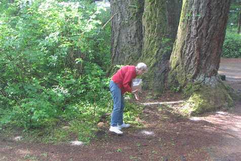 Human birdfeeder