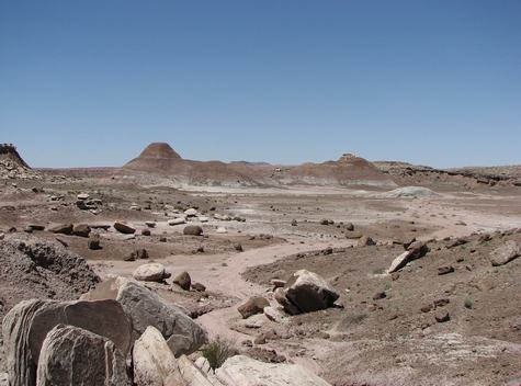 Arizona scene
