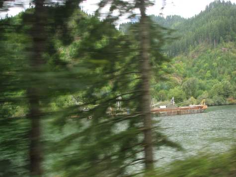 Dredge behind trees 