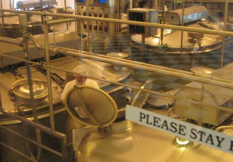 Cheesemaker making cheese