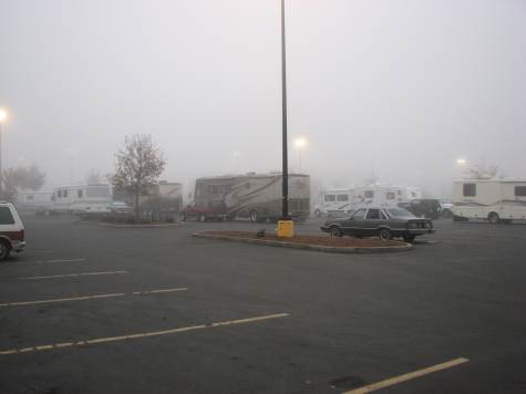 Foggy morning