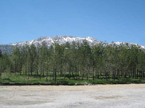 Snow
