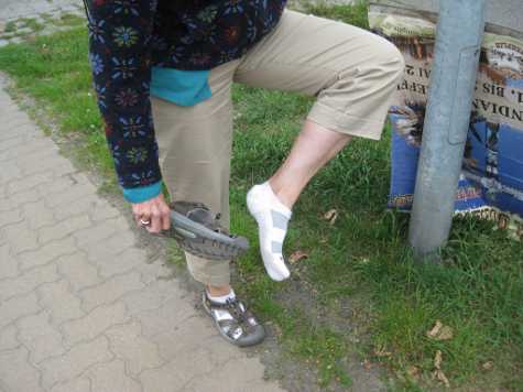 Foot