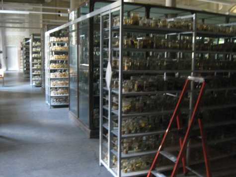 Jars