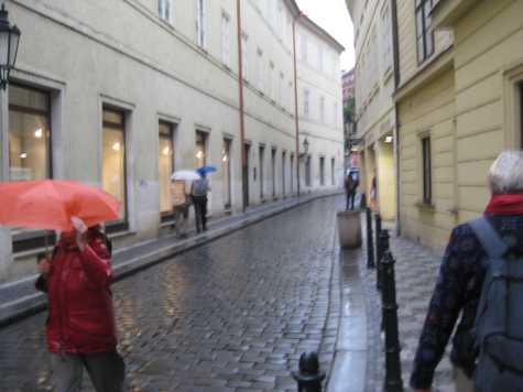 Rain