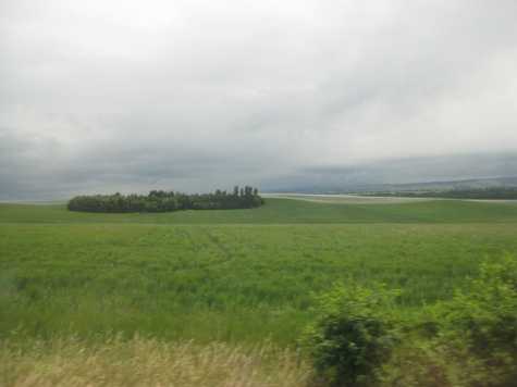 Fields
