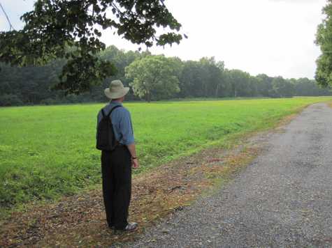 Field