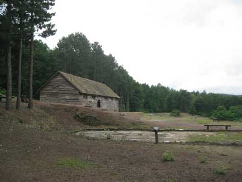 Camp