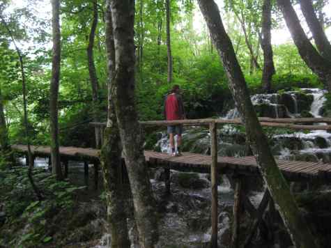 Walk