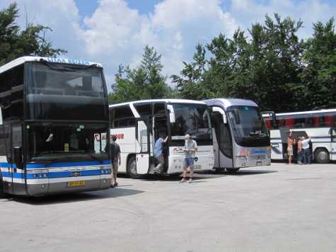 Bus