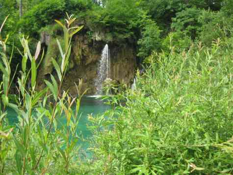 Falls