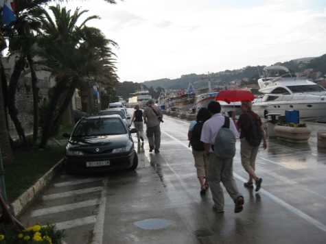 Rain