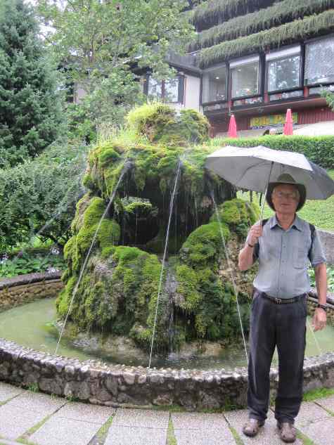 Moss