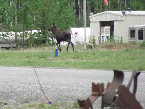 Run