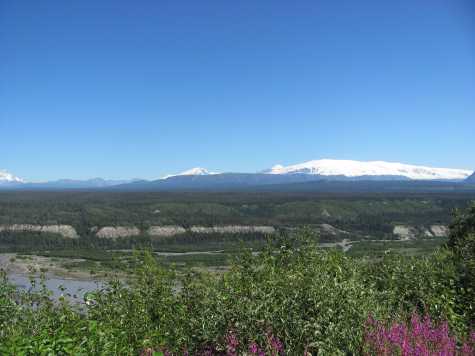 Vista